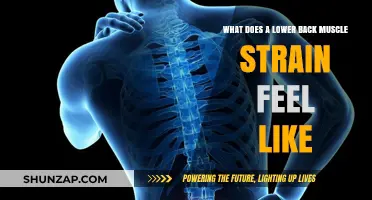 Understanding Lower Back Muscle Strain: Symptoms and Relief