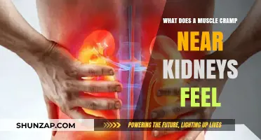 Understanding Kidney-Related Muscle Cramps: Causes and Relief
