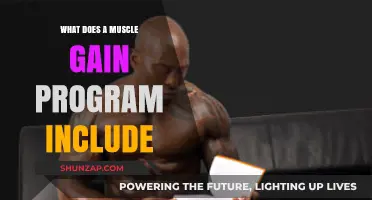 Effective Muscle Gain Program Essentials: Workouts, Nutrition, and Recovery Tips