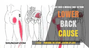 Understanding Lower Back Muscle Knots: Causes, Symptoms, and Relief Strategies