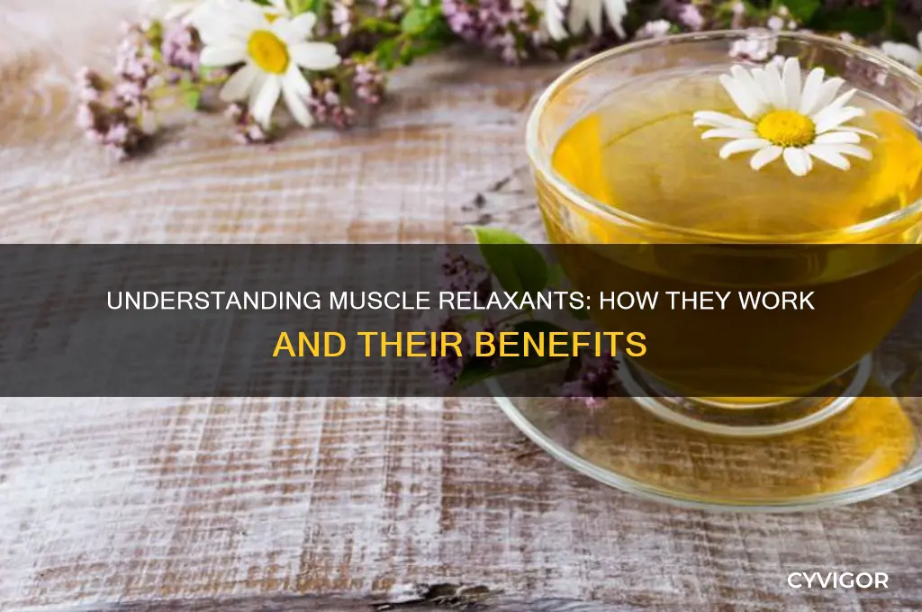 what does a muscle relaxant do