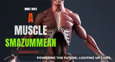 Understanding Muscle Spasm Triggers and Treatment