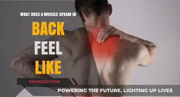 Understanding Back Muscle Spasms: Symptoms, Causes, and Relief