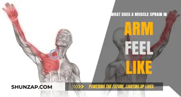 Understanding Arm Muscle Sprain Symptoms: Pain, Swelling, and Limited Mobility