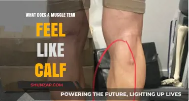 Understanding the Pain: What Does a Calf Muscle Tear Feel Like?
