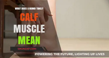 Understanding Numbness and Tingling in Your Calf Muscles: Causes and Remedies