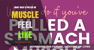 Pulled Ab Muscle Symptoms: Pain, Tenderness, and Recovery Tips