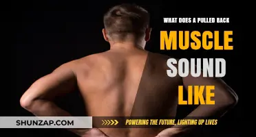 Understanding the Audible Signs of a Pulled Back Muscle: What to Listen For