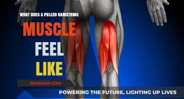 Pulled Hamstring Symptoms: Identifying Pain, Discomfort, and Recovery Signs