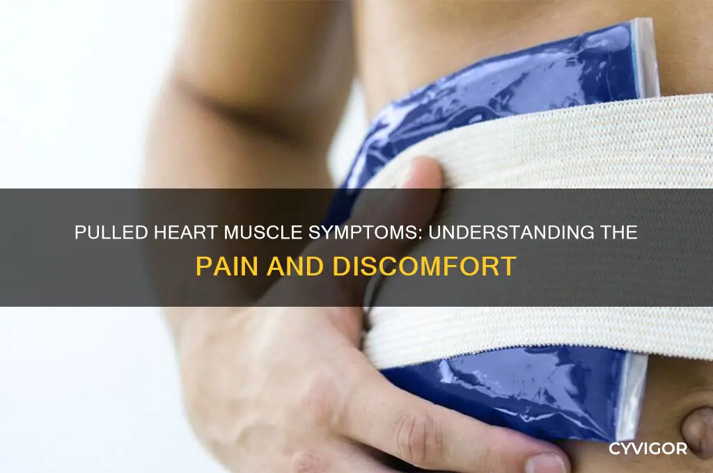 what does a pulled heart muscle feel like