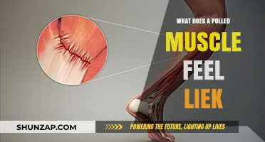 Understanding Pulled Muscle Pain: Symptoms, Sensations, and Recovery Insights