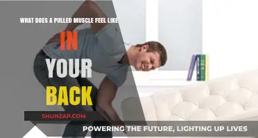Pulled Back Muscle: Symptoms, Pain, and Recovery Explained