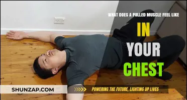 Pulled Chest Muscle Symptoms: Recognizing Pain, Tightness, and Discomfort