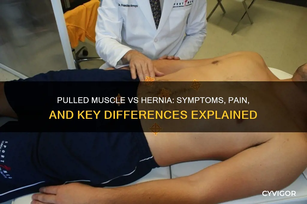 what does a pulled muscle feel like vs hernia