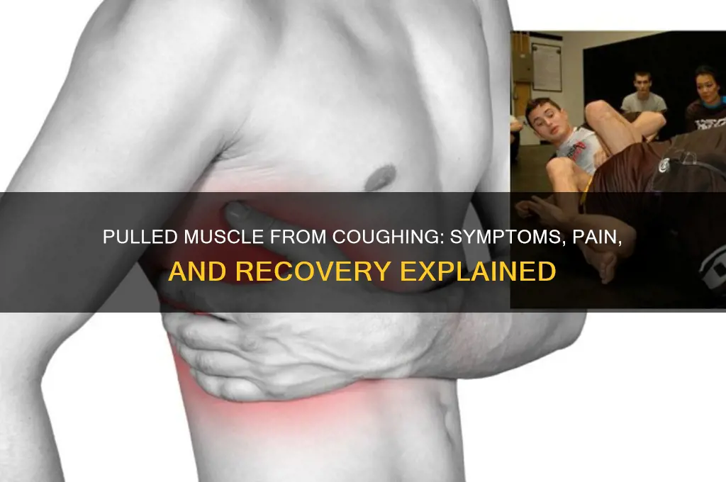 what does a pulled muscle from coughing feel like