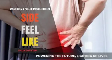 Pulled Muscle on Left Side: Symptoms, Pain, and Recovery Explained
