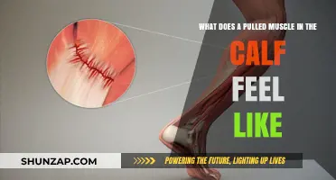 Pulled Calf Muscle: Symptoms, Pain, and Recovery Explained