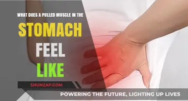 Pulled Stomach Muscle: Symptoms, Pain, and Recovery Explained