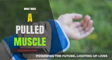 Understanding Pulled Muscles: Causes, Symptoms, and Effective Recovery Tips