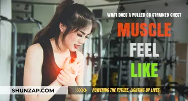Pulled Chest Muscle Symptoms: Pain, Tenderness, and Recovery Insights