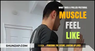 Pulled Pectoral Muscle: Symptoms, Pain, and Recovery Explained
