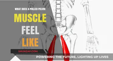 Pulled Pelvic Muscle: Symptoms, Pain, and Recovery Explained