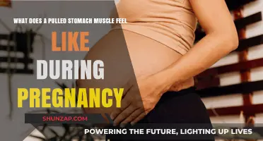 Pregnancy and Pulled Stomach Muscles: Symptoms, Causes, and Relief Tips