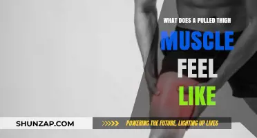 Pulled Thigh Muscle Symptoms: Pain, Swelling, and Recovery Insights