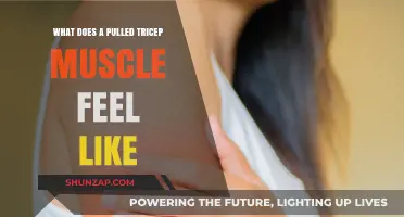 Pulled Tricep Muscle: Symptoms, Pain, and Recovery Explained