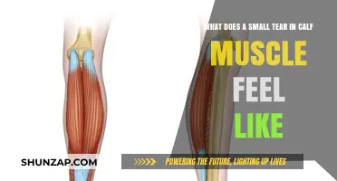 Understanding the Sensation: A Small Tear in the Calf Muscle