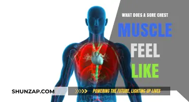 Understanding Sore Chest Muscles: Symptoms, Causes, and Relief Tips