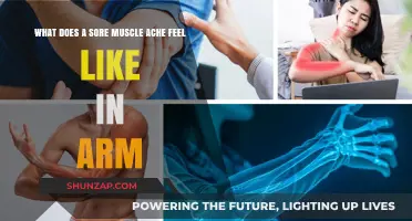 Understanding Arm Muscle Soreness: What Does a Sore Muscle Ache Feel Like?