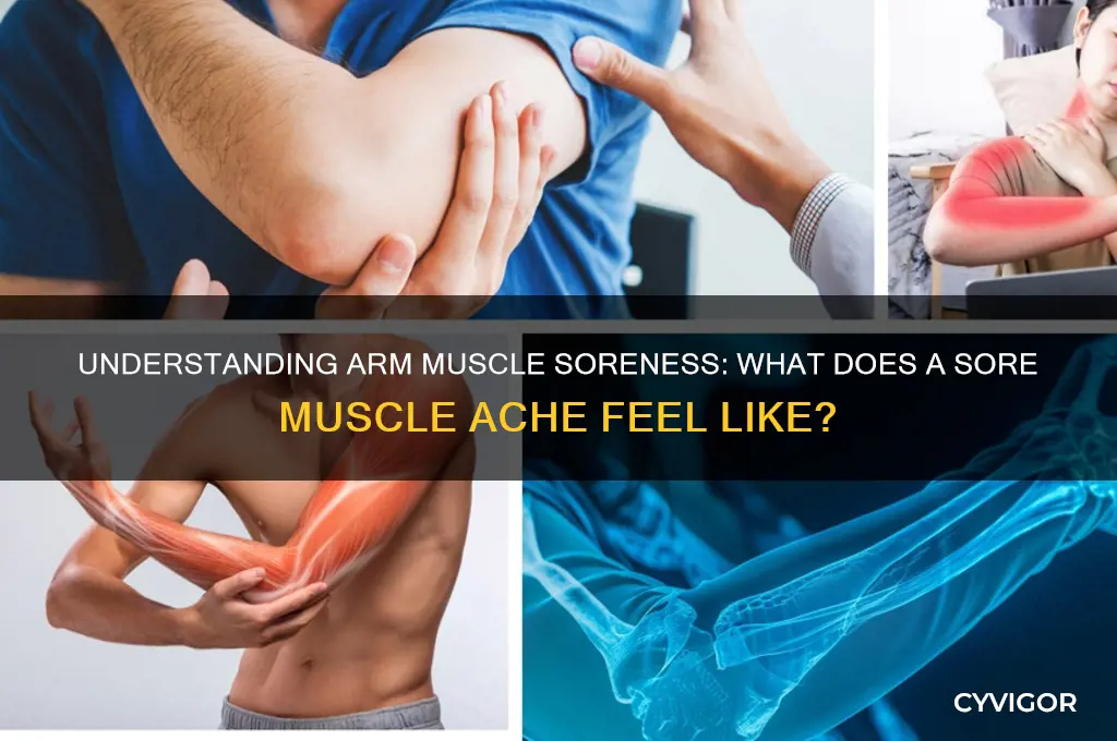 what does a sore muscle ache feel like in arm