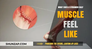Understanding the Ache: What a Strained Calf Muscle Feels Like