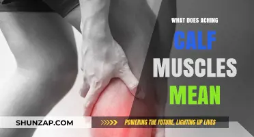 Decoding Calf Muscle Aches: Causes and Remedies Explained