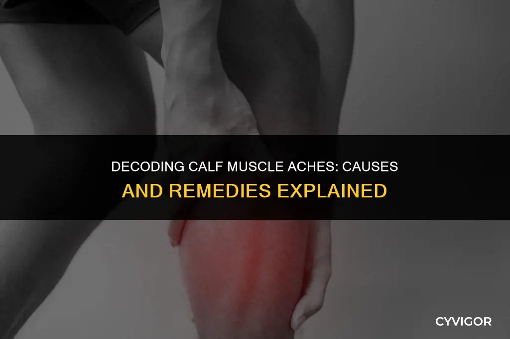 what does aching calf muscles mean