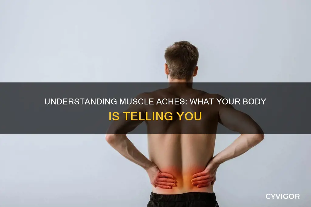 what does aching muscles mean