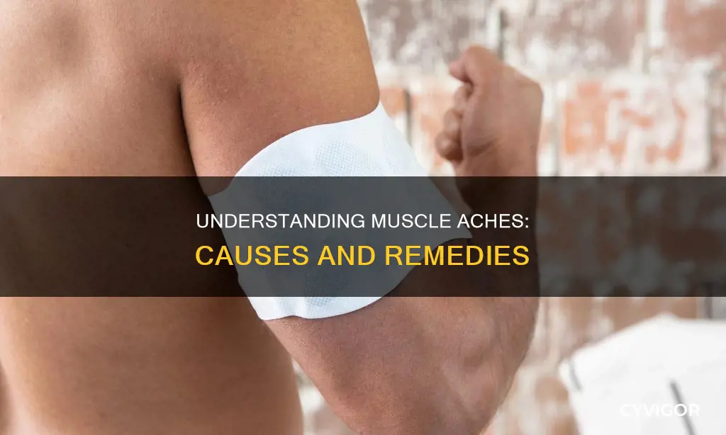 what does achy muscles mean