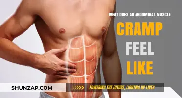 Understanding Abdominal Muscle Cramps: Symptoms and Relief Tips