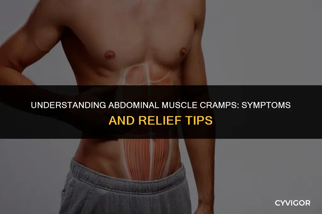 what does an abdominal muscle cramp feel like