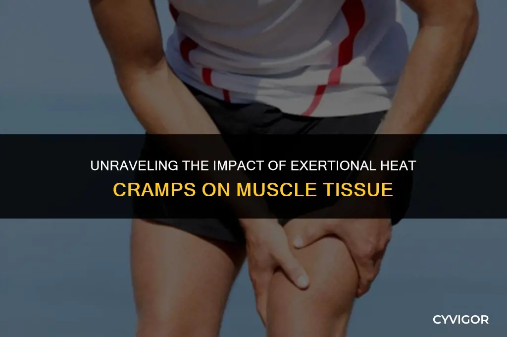 what does an exertional heat cramp do to muscle tissue