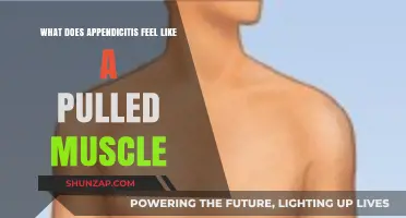 Appendicitis vs. Pulled Muscle: Understanding the Pain and Symptoms