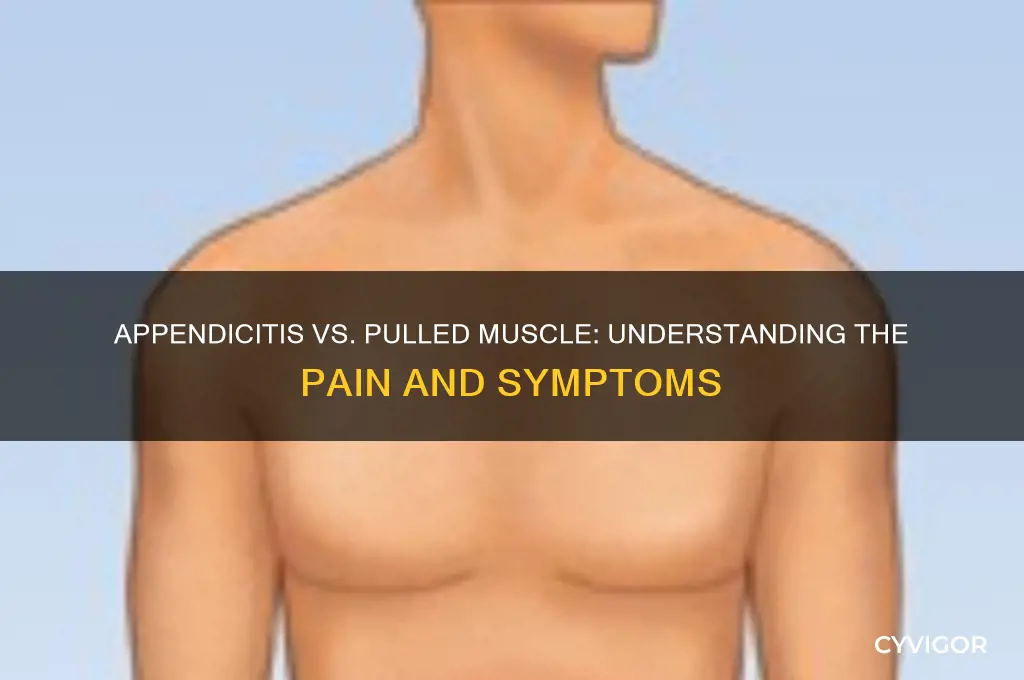 what does appendicitis feel like a pulled muscle
