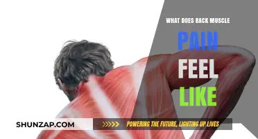 Understanding Back Muscle Pain: Symptoms, Sensations, and Common Experiences