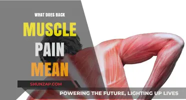 Understanding Back Muscle Pain: Causes, Symptoms, and Effective Relief Strategies
