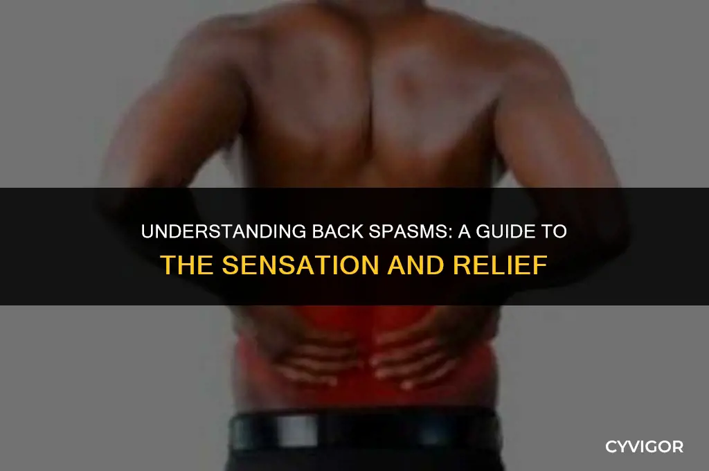 what does back spasm feel like