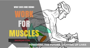 Bike Riding Benefits: Targeted Muscle Workout Explained