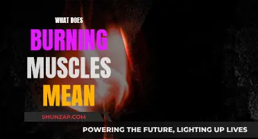 Burning Muscles: Why Does It Happen?