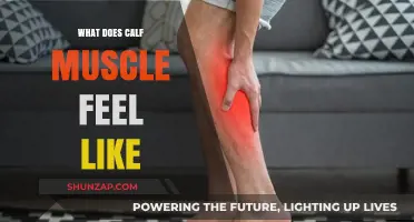 Understanding the Sensation: What Does Your Calf Muscle Feel Like?