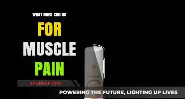 CBD for Muscle Pain: How It Works and Its Benefits